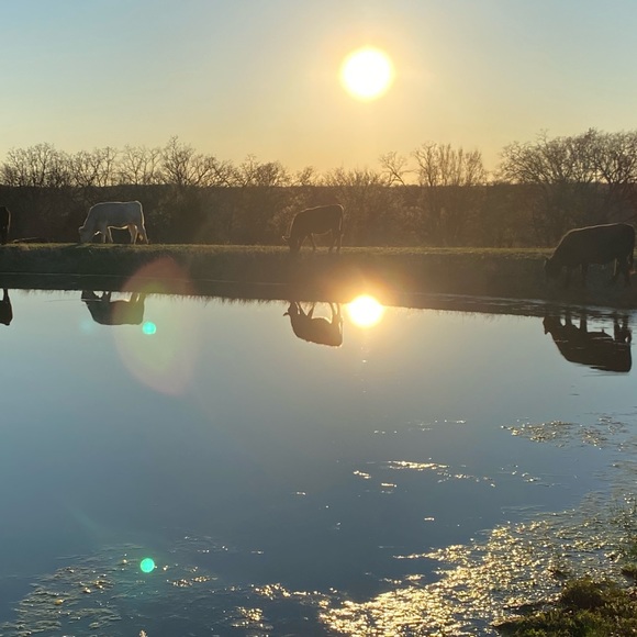 Meet your Posher, Rhiannon - Picture 1 of 1